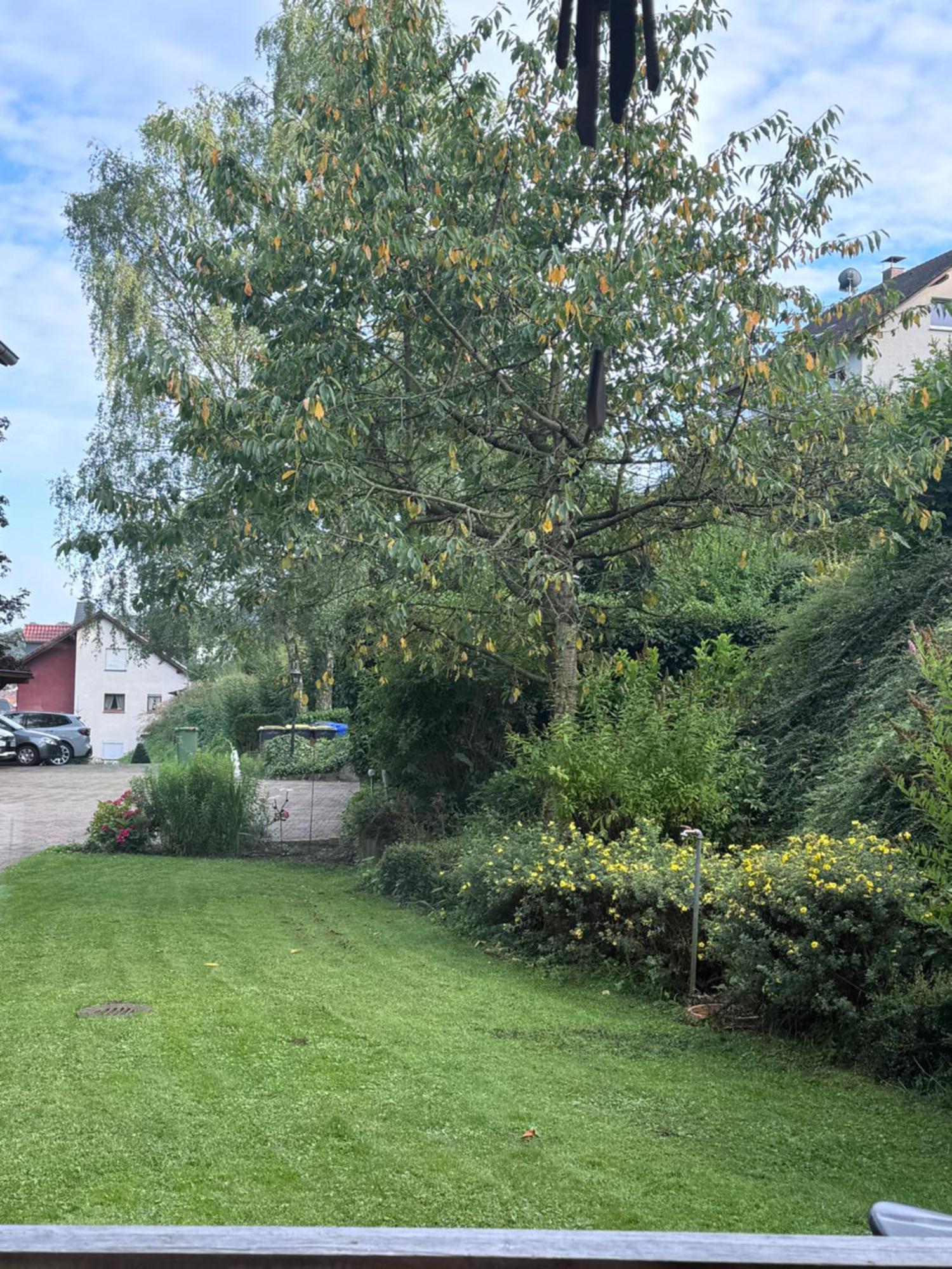 Apartment Zum Aatal Bad Wünnenberg エクステリア 写真